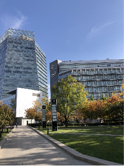 Apple R&D Beijing